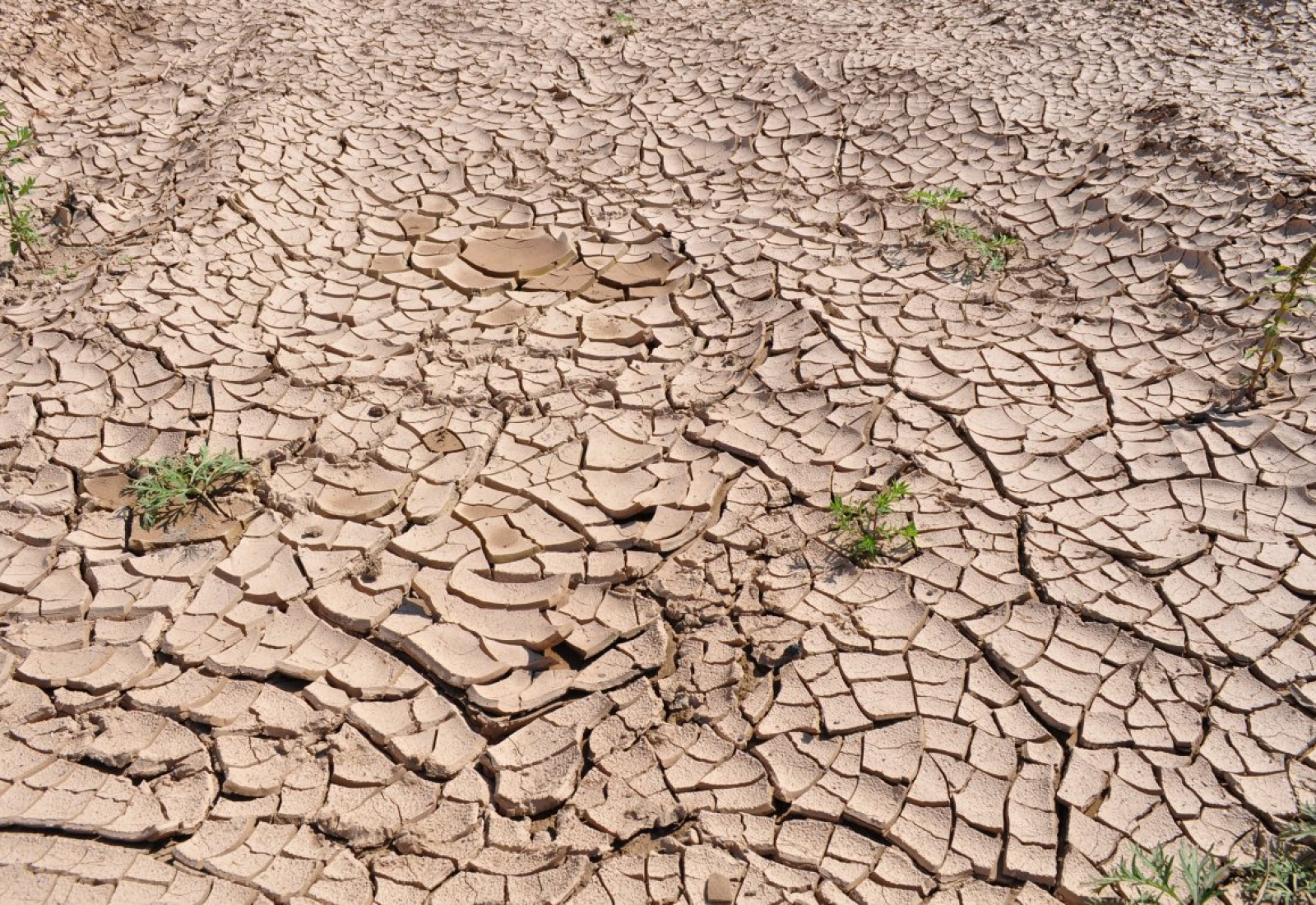 drought-cracked-earth-dry-earth-stockpack-pixabay.jpg drought, cracked earth, dry earth