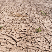 drought-cracked-earth-dry-earth-stockpack-pixabay.jpg drought, cracked earth, dry earth