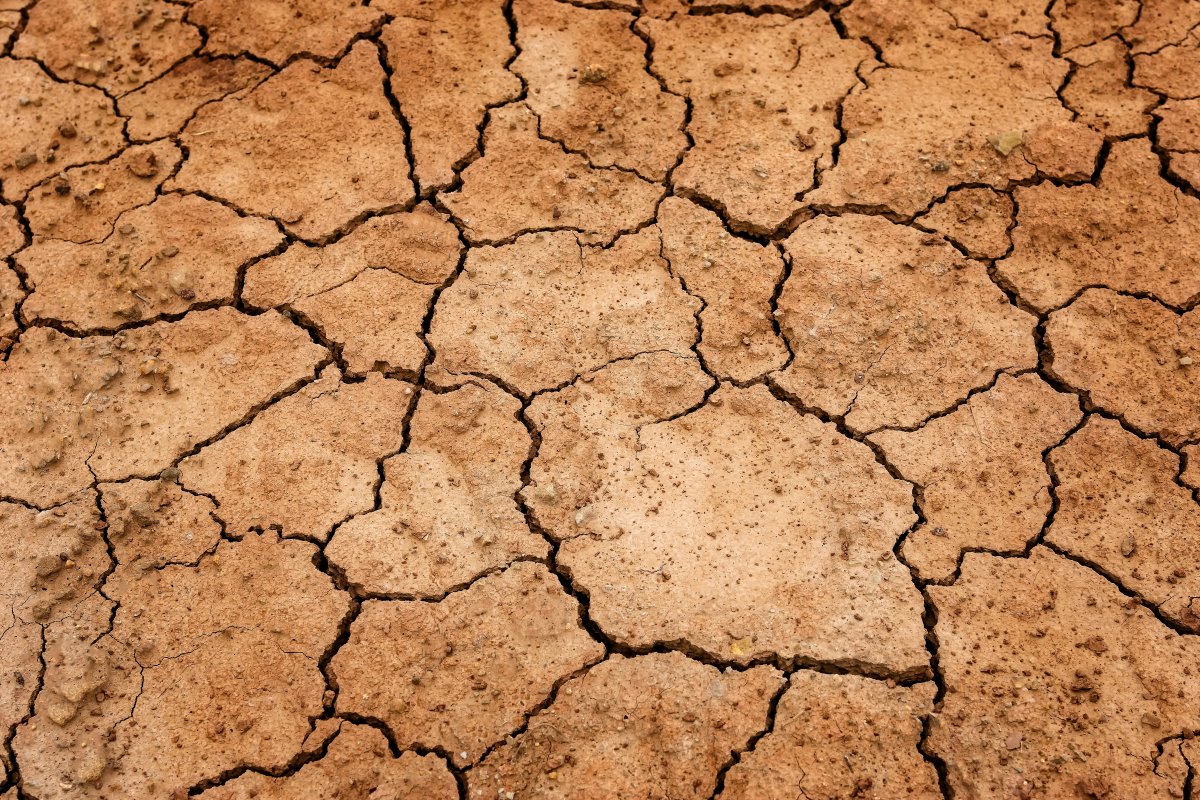 earth-drought-ground-stockpack-pixabay.jpg earth, drought, ground