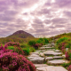 ireland-national-park-connemara-stockpack-pixabay.jpg ireland, national park, connemara