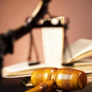 justitie-licitatii trucate Justitie Licitatii Trucate