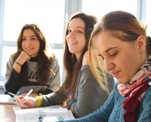 language school, team, interns