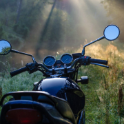 motorcycle, morning, forest
