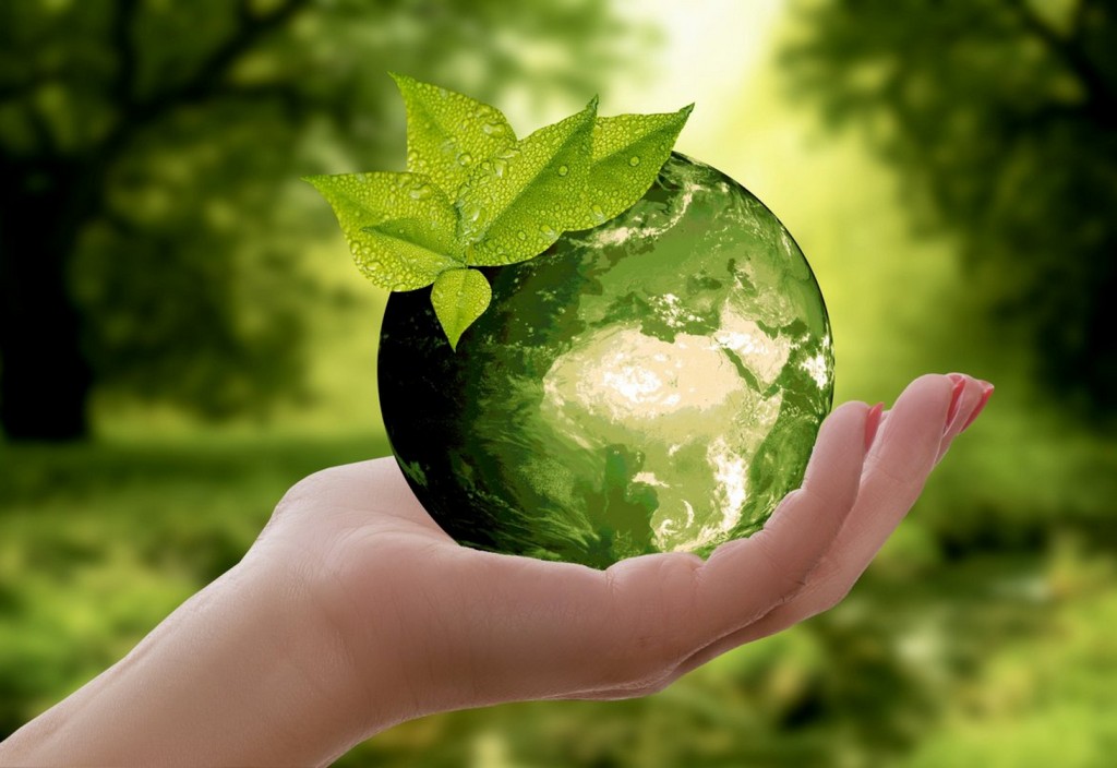 nature-earth-sustainability-stockpack-pixabay.jpg nature, earth, sustainability