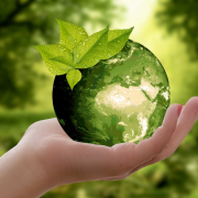 nature, earth, sustainability