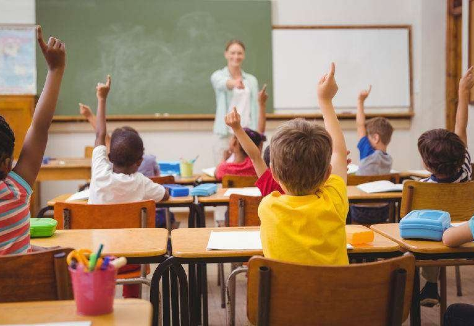 scoala profesori elevi Scoala Profesori Elevi