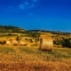summer-field-straw-stockpack-pixabay.jpg summer, field, straw