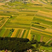 teren-agricol-faramitare Teren Agricol Faramitare