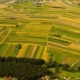 Teren Agricol Faramitare