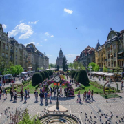 timisoara-fotoprimariatm Timisoara Fotoprimariatm