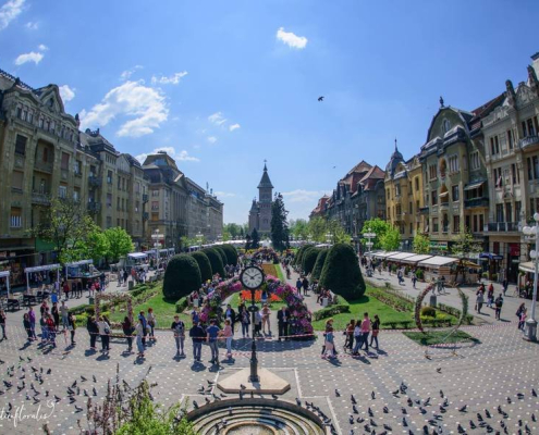 timisoara-fotoprimariatm Timisoara Fotoprimariatm