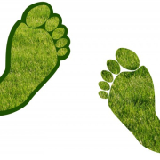 assistance-barefoot-carbon-stockpack-pixabay.jpg assistance, barefoot, carbon