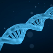 dna-string-biology-stockpack-pixabay.jpg dna, string, biology