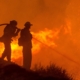 forest-fire-hose-water-stockpack-pixabay.jpg forest fire, hose, water