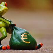 frog-money-euro-stockpack-pixabay.jpg frog, money, euro
