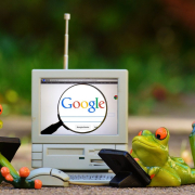 frogs-computer-google-stockpack-pixabay.jpg frogs, computer, google