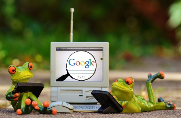 frogs, computer, google