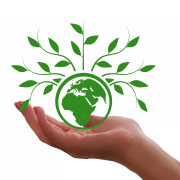 hand-keep-globe-stockpack-pixabay.jpg hand, keep, globe