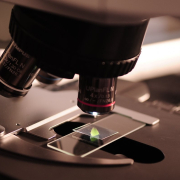 microscope-research-lab-stockpack-pixabay.jpg microscope, research, lab
