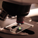 microscope, research, lab