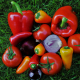 paprika-vegetables-red-stockpack-pixabay.jpg paprika, vegetables, red