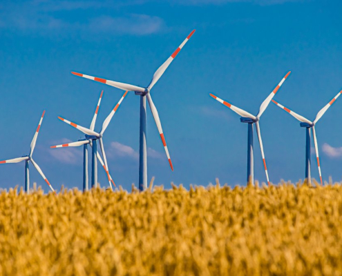 pinwheel-field-cereals-stockpack-pixabay.jpg pinwheel, field, cereals