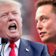 trump musk Trump Musk