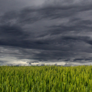 clouds-summer-storm-stockpack-pixabay.jpg clouds, summer, storm