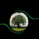 ecology, protection, protect