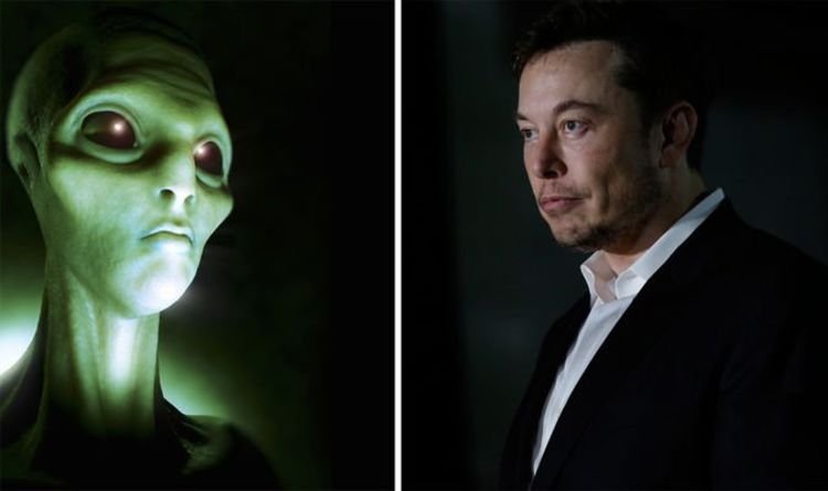 Elon Musk Alien