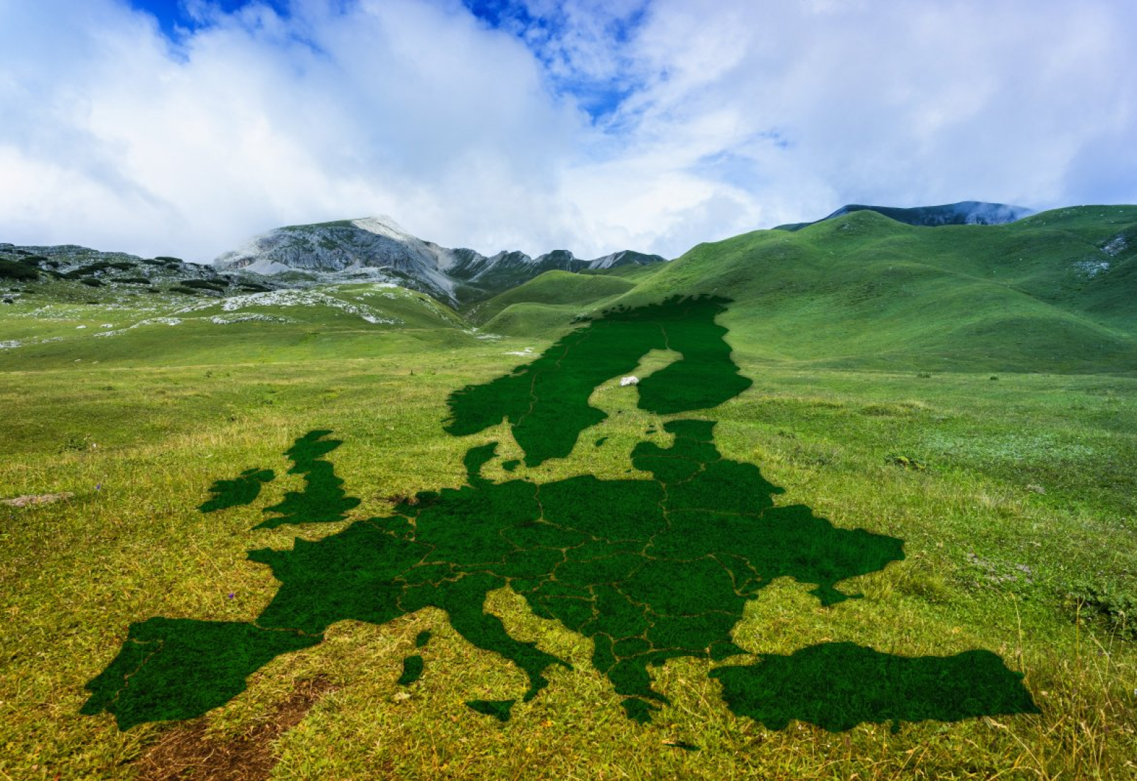 europe-meadow-green-stockpack-pixabay.jpg europe, meadow, green