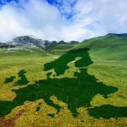 europe-meadow-green-stockpack-pixabay.jpg europe, meadow, green