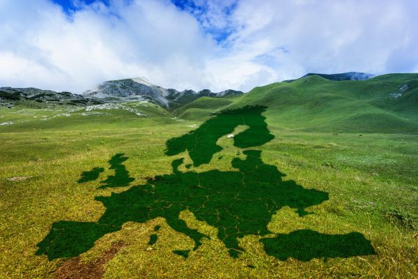 europe, meadow, green