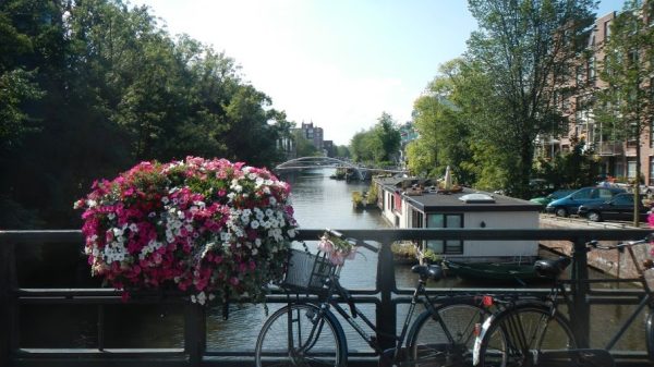 Flori Biciclete Amsterdam
