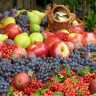 Fructe Romanesti