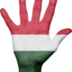 hungary, flag, hand