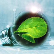 light-bulb-leaf-chlorophyll-stockpack-pixabay.jpg light bulb, leaf, chlorophyll