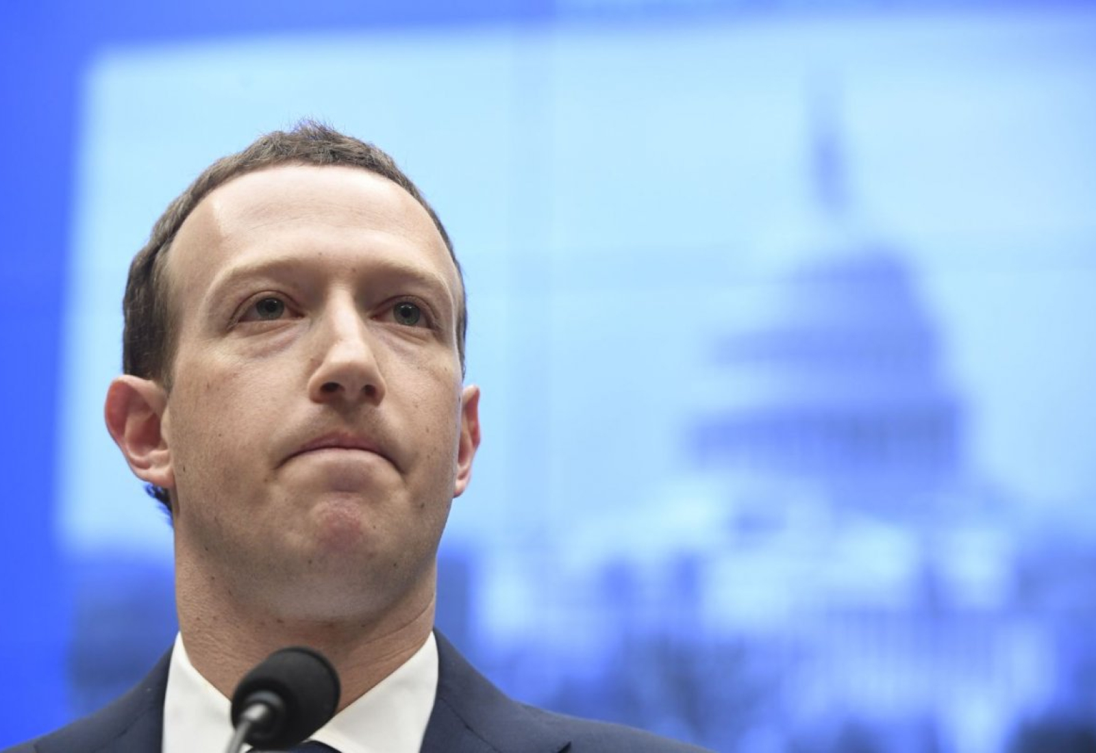 Mark Zuckerberg 1