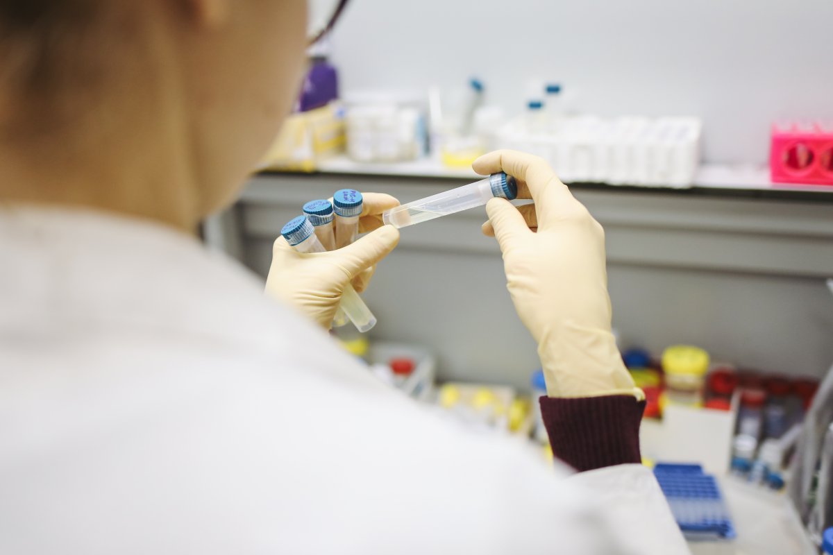 person-holding-test-tubes-stockpack-pexels.jpg Person holding test tubes