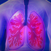 upper-body-lung-copd-stockpack-pixabay.jpg upper body, lung, copd