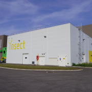 ynsect Ynsect