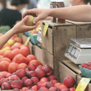 apples-farmers-market-business-stockpack-pixabay.jpg apples, farmers market, business