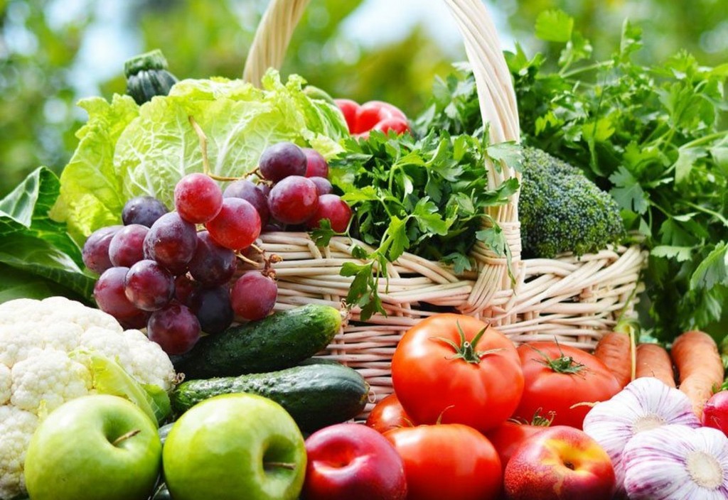 bio-food Bio Food