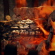 fire, wood, fire bowl