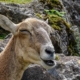 guess-its-having-fun-stockpack-unsplash.jpg Guess it's having fun