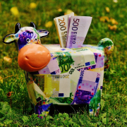piggy-bank-money-cow-stockpack-pixabay.jpg piggy bank, money, cow