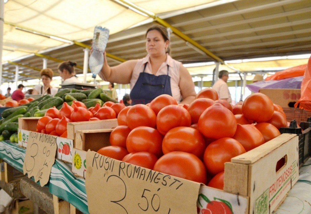 rosii-romanesti producator local Rosii Romanesti Producator Local