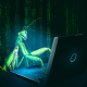 bug, virus, computer