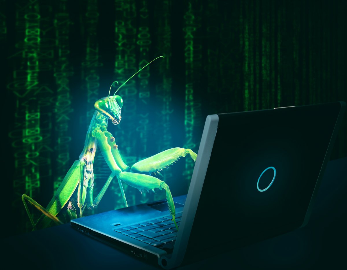 bug-virus-computer-stockpack-pixabay.jpg bug, virus, computer