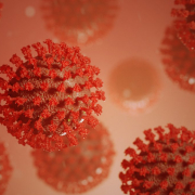 covid-19-coronavirus-virus-stockpack-pixabay.jpg covid-19, coronavirus, virus